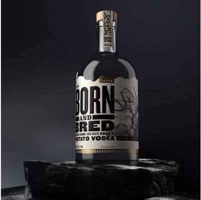Collare di vetro Bottiglia nordica trasparente per vodka liquori gin rum tequila whisky brandy spirit